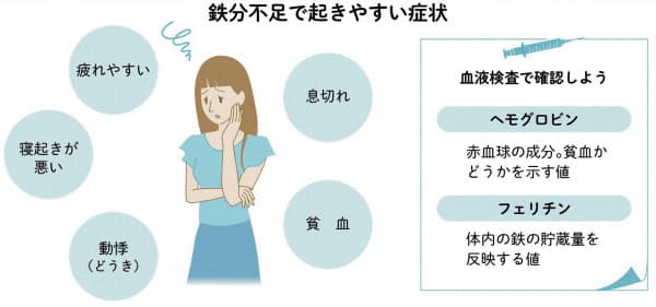 鉄分不足