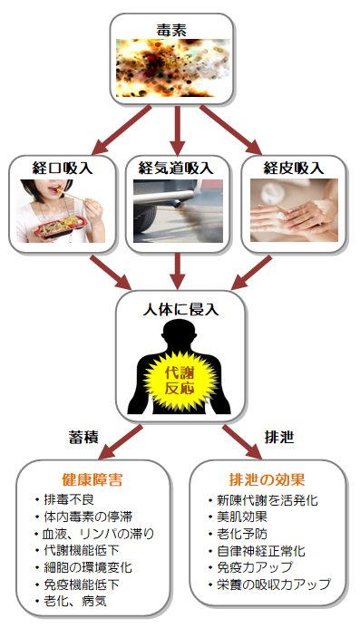 代謝